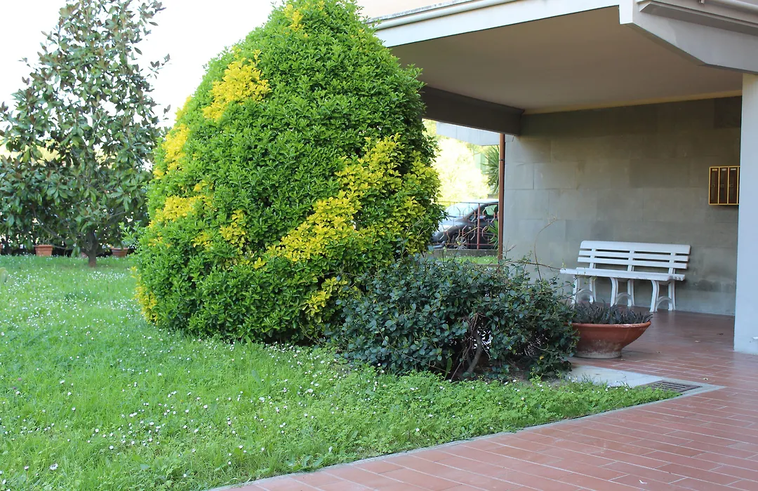 B&B Gli Archi-1
